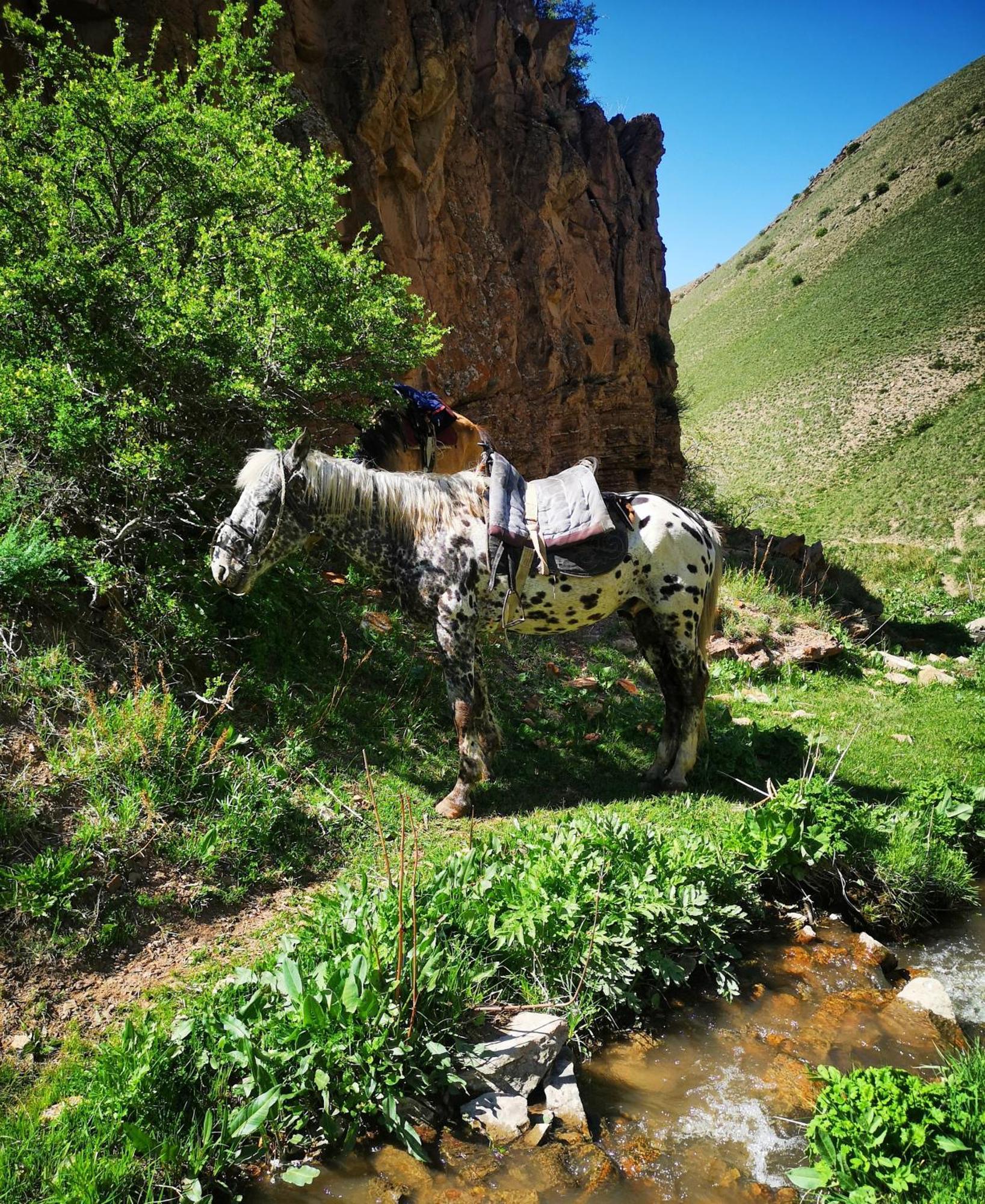 Guest House Bereke In Kyzart Village Bagysh Exterior foto